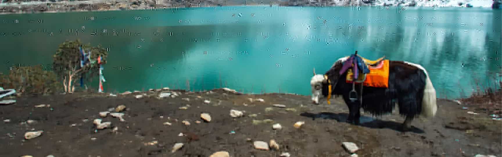 Srinagar Package 01
