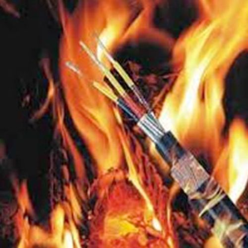 Fire Survival Cables